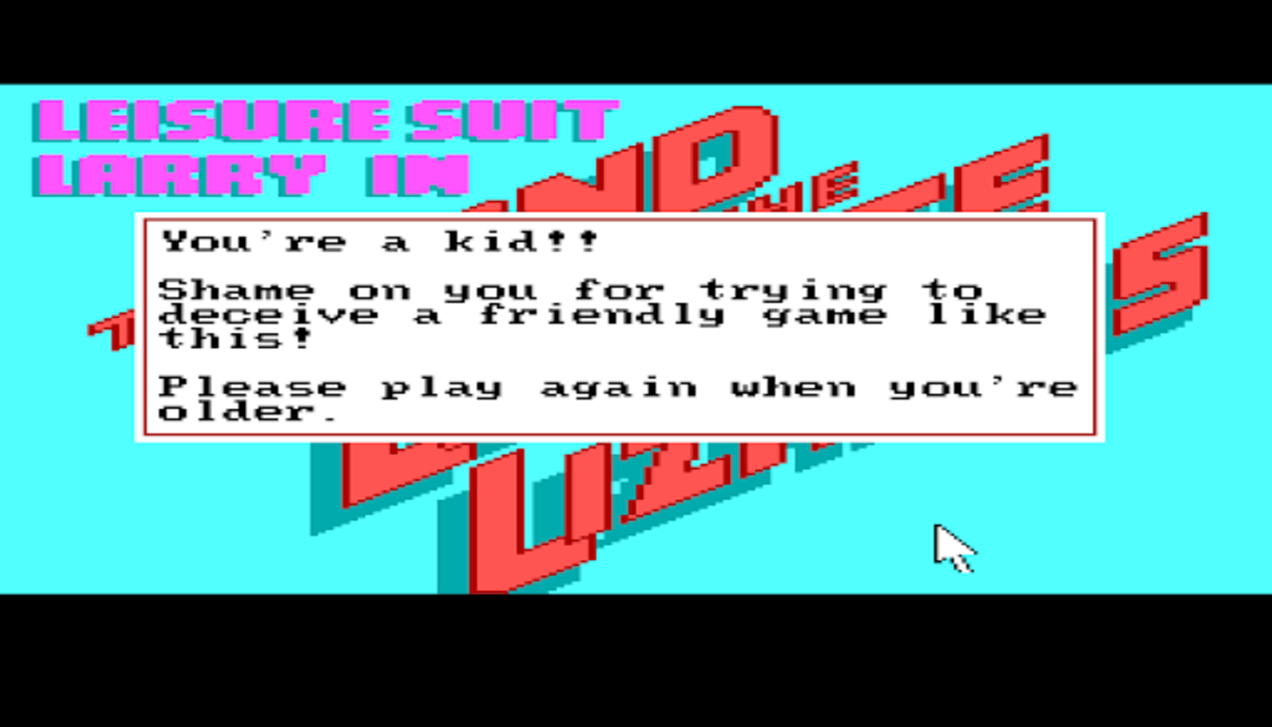 Screenshot of leisure suit larry age verification questions