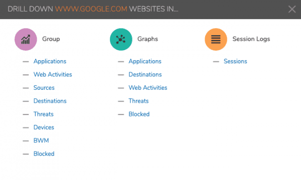 SonicWall Analytics Drilldown Into Website