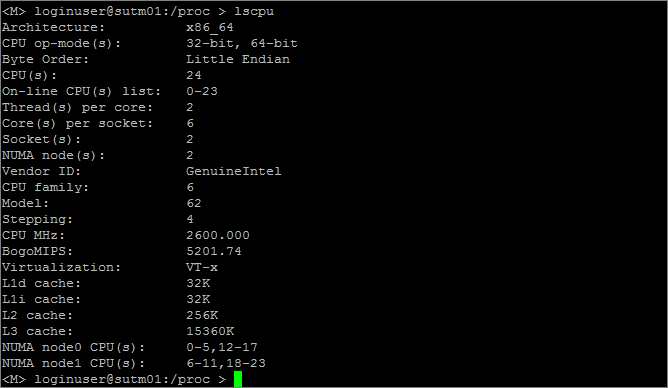Sophos UTM CPU Performance monitoring - lscpu