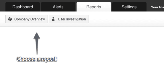 Choose a report