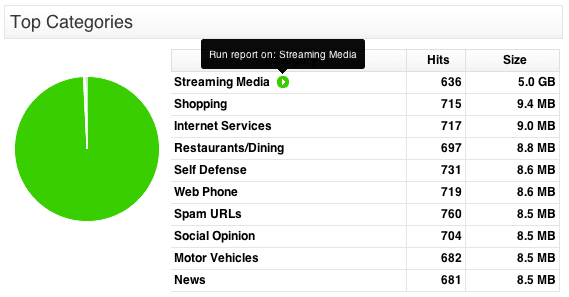 Running a report on TMG URL Categories
